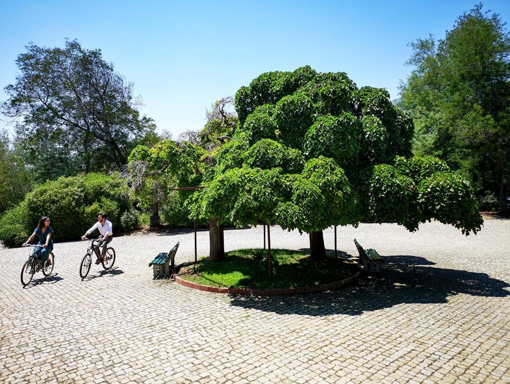 Herdade Clube Tiro Monfortinho Zewnętrze zdjęcie